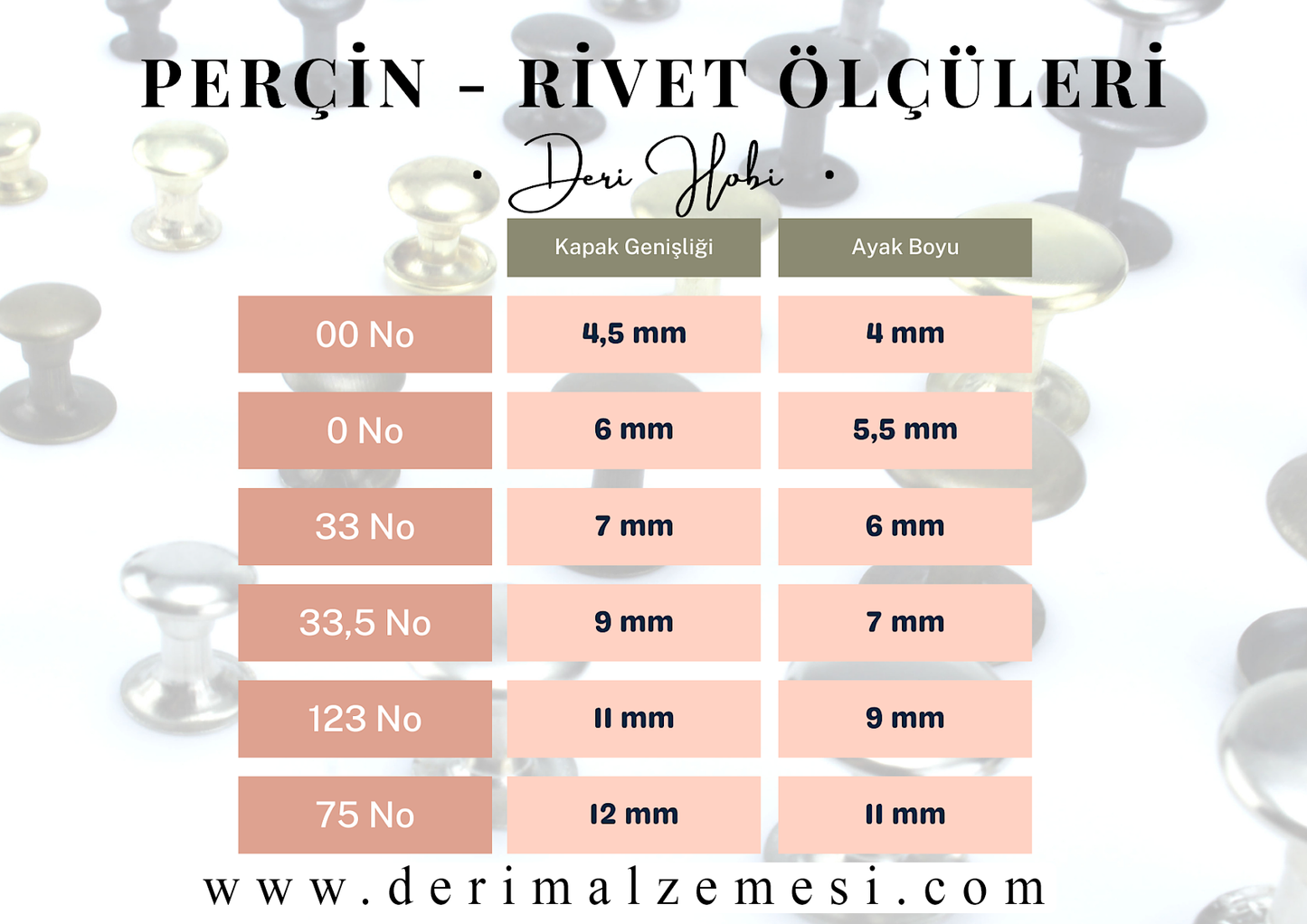 Çift Kapak 33 No Perçin - 100 Takım